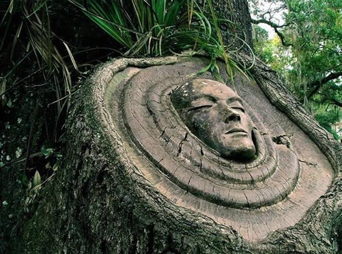 Sculptor Keith Jennings carves wise faces into trees, revealing each wooden tower's inner spirit. Jennings first embarked on his Tree Spirits project back in 1982 when he decided to creatively manipulate a tree in his backyard with a few hand tools. Starting out as a way to kill time on a budget, the artist wound up honing his craft. Jennings was later commissioned to apply his wood sculpting skills on a series of trees throughout St. Simons Island, located right off the coast of the state of Georgia.