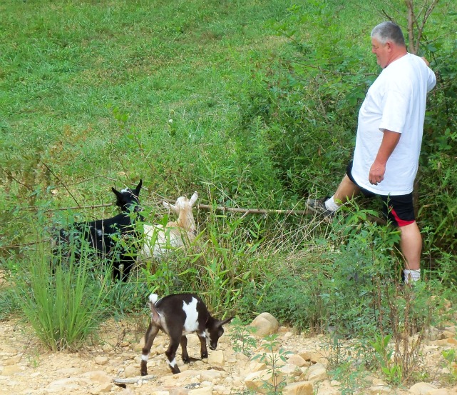 BooneDocksWilcox in a blackberry vibe