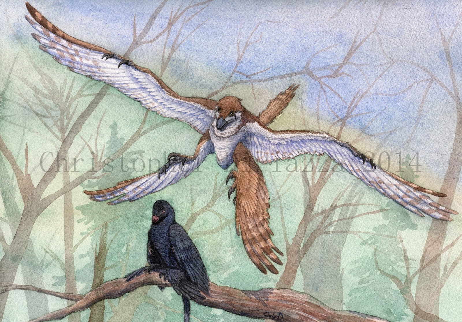 First Choice Employer List - First Choice Health, image size:1600x1115