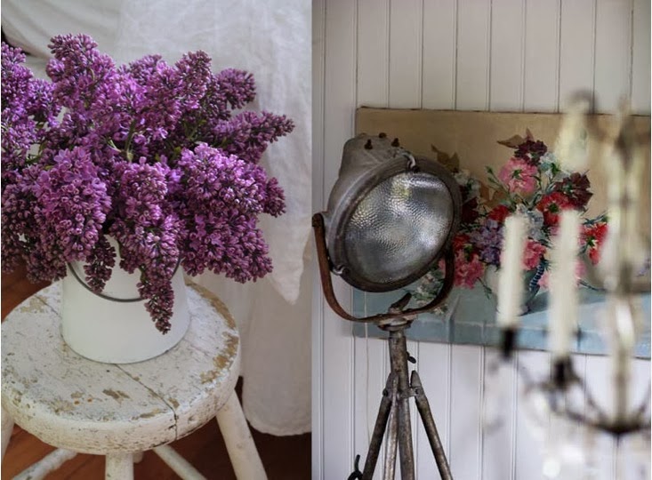 foco cine industrial y lilas