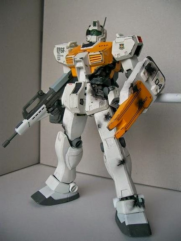 Custom Build: MG 1/100 GM Type C 