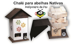 Chalé Para Abelhas Jataí Caixa Decorativa