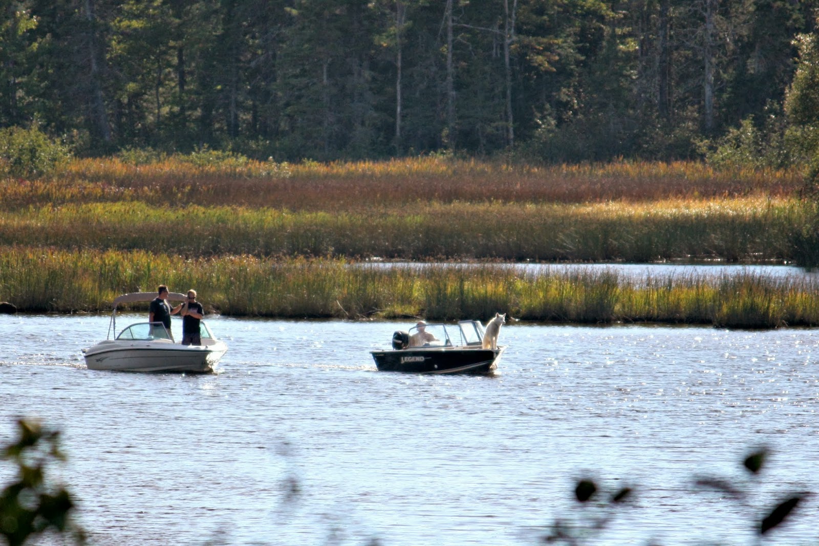 Carol Steel Shediac River in September
