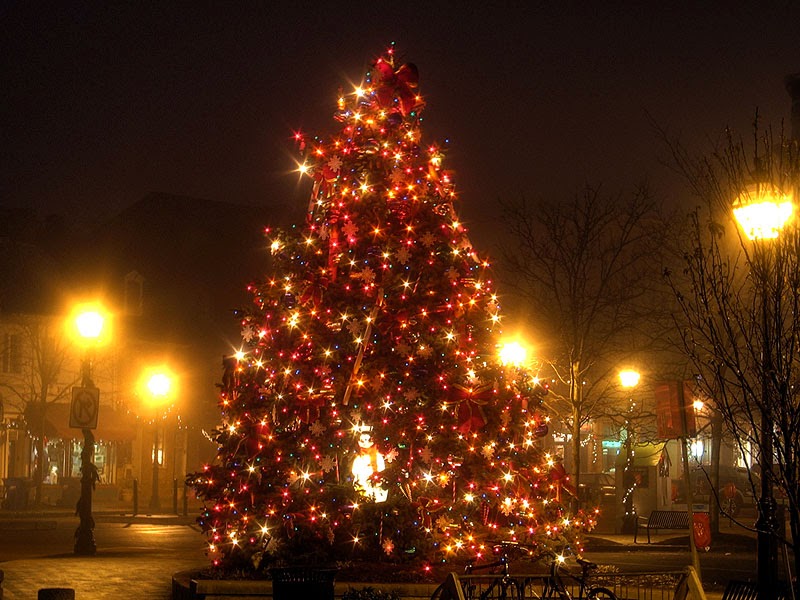 Free Download HD Wallpapers Christmas Tree HD Wallpapers