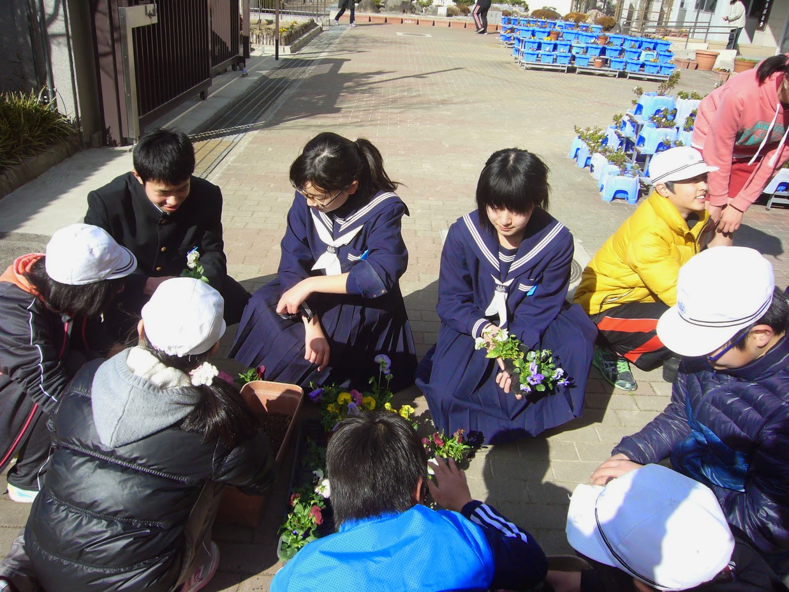 姫路市立東光中学校 生徒会 城東小学校へ花植え