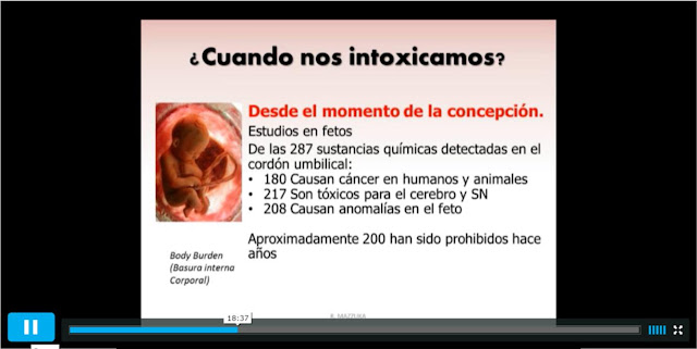 Tóxicos en los fetos 
