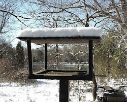 platform plans feeder bird feeders building flat winter tray outdoor wood feathered forget friends storage designs pole seed windy area