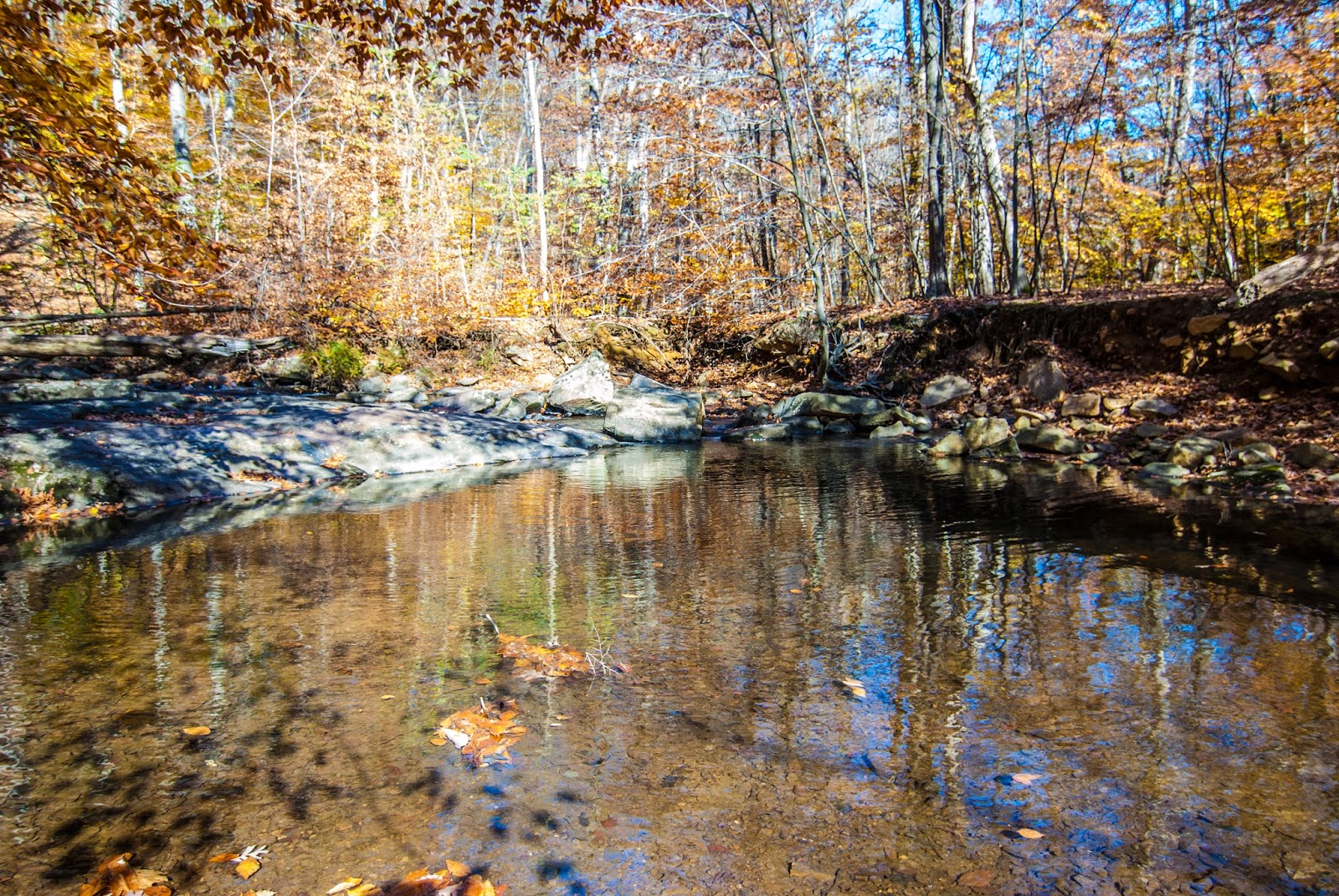 Litton's Fishing Lines Fly Fished a Somerset County, NJ, Trout Stream