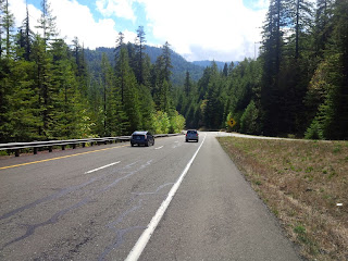 An American road with tall fur trees running along the sides of the road.