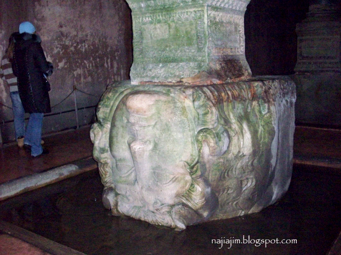 Berang Berang Laut Sahabat Sejati