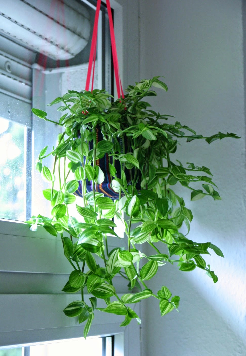 2 Stroke Hand Book 2 Baca Alqur An Pages Directory