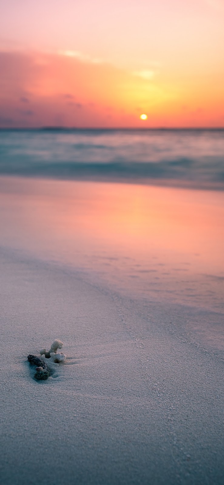 Sunset on the beach (iPhone X)