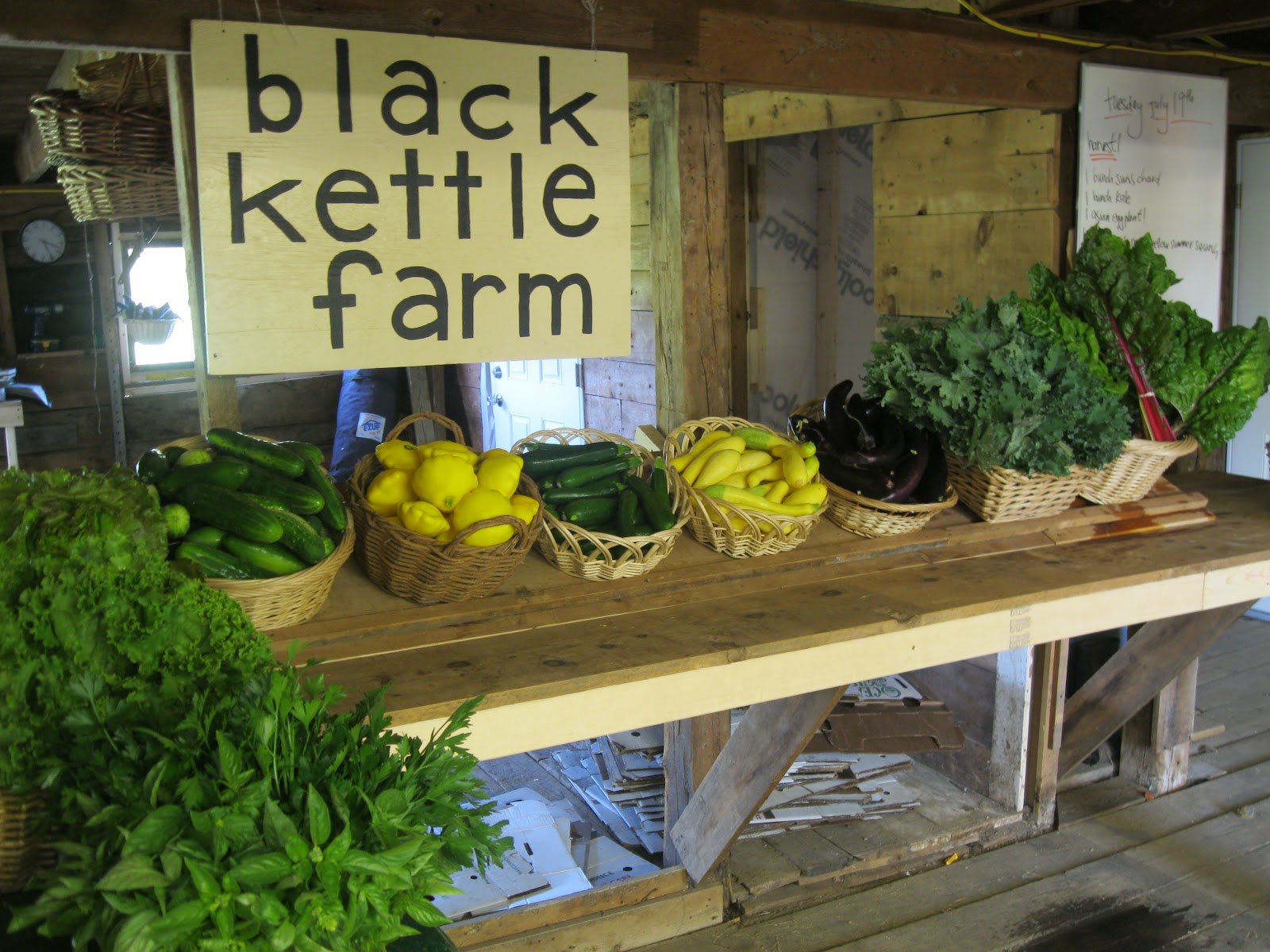 black kettle farm FAQ's