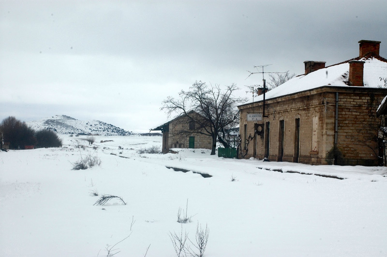 Natura Xilocae RECUERDO DE UNA NEVADA. ESQUÍ Y PAJAREO EN CALAMOCHA