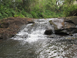 Jardim Alegre-PR - 3