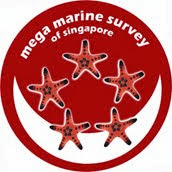 Mega Marine Survey (CMBS)