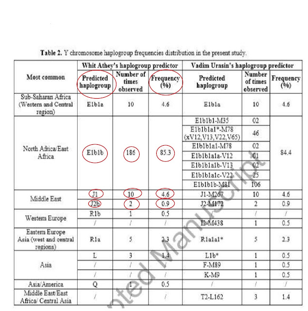 هل امازيغ الشاوية اصلهم عرب كما يكذب بن كولة؟ EM218%2BCHAWI