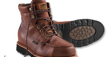 irish setter wingshooter black
