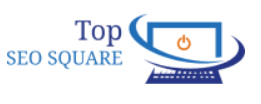 Top Professional SEO Square In India | Topseosquare
