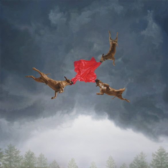 Spectacular Canvas Oil Paintings by Joel Rea from Gold Coast