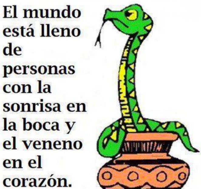 Frases Para Gente Falsa