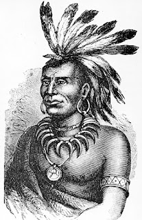 Blood on the Ohio: Tales of Frontier Terror: Little Turtle -The Native ...