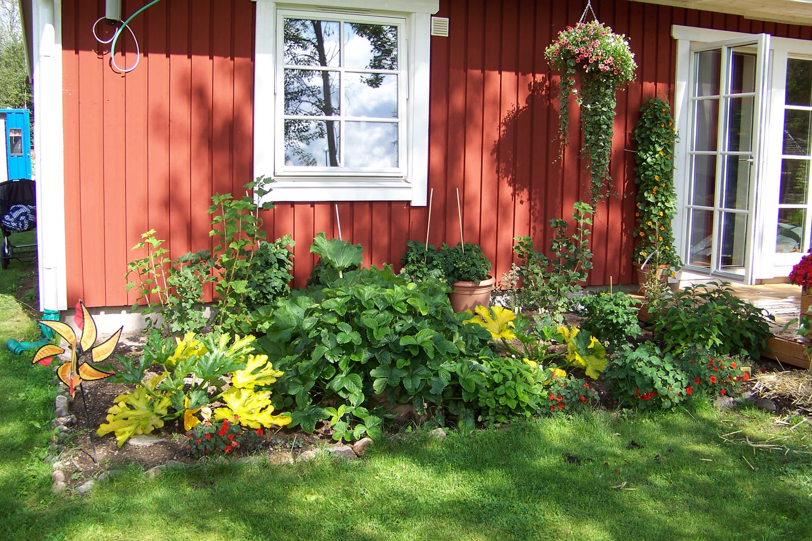 Alexandras Garten in Schweden Kleiner Einblick in unseren