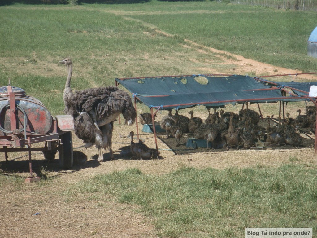 nome que combina com david  Experiência: boa ou ruim?