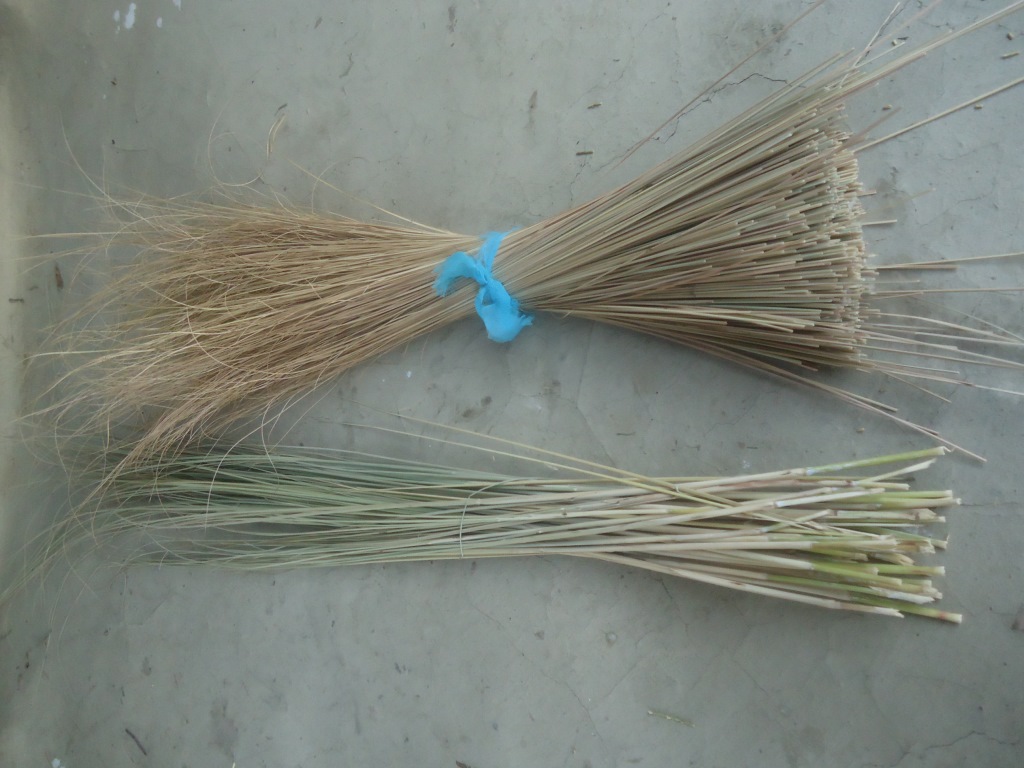 VOICE OF THARUS Weave your own basket from kans and sikki grasses