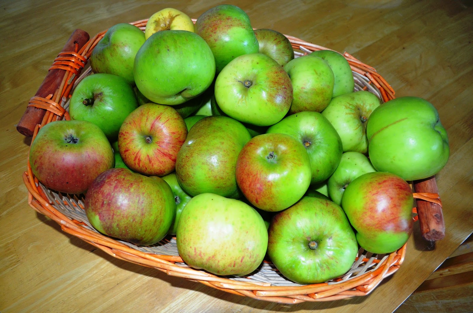 Kelli's Northern Ireland Garden Autumn Apple Picking