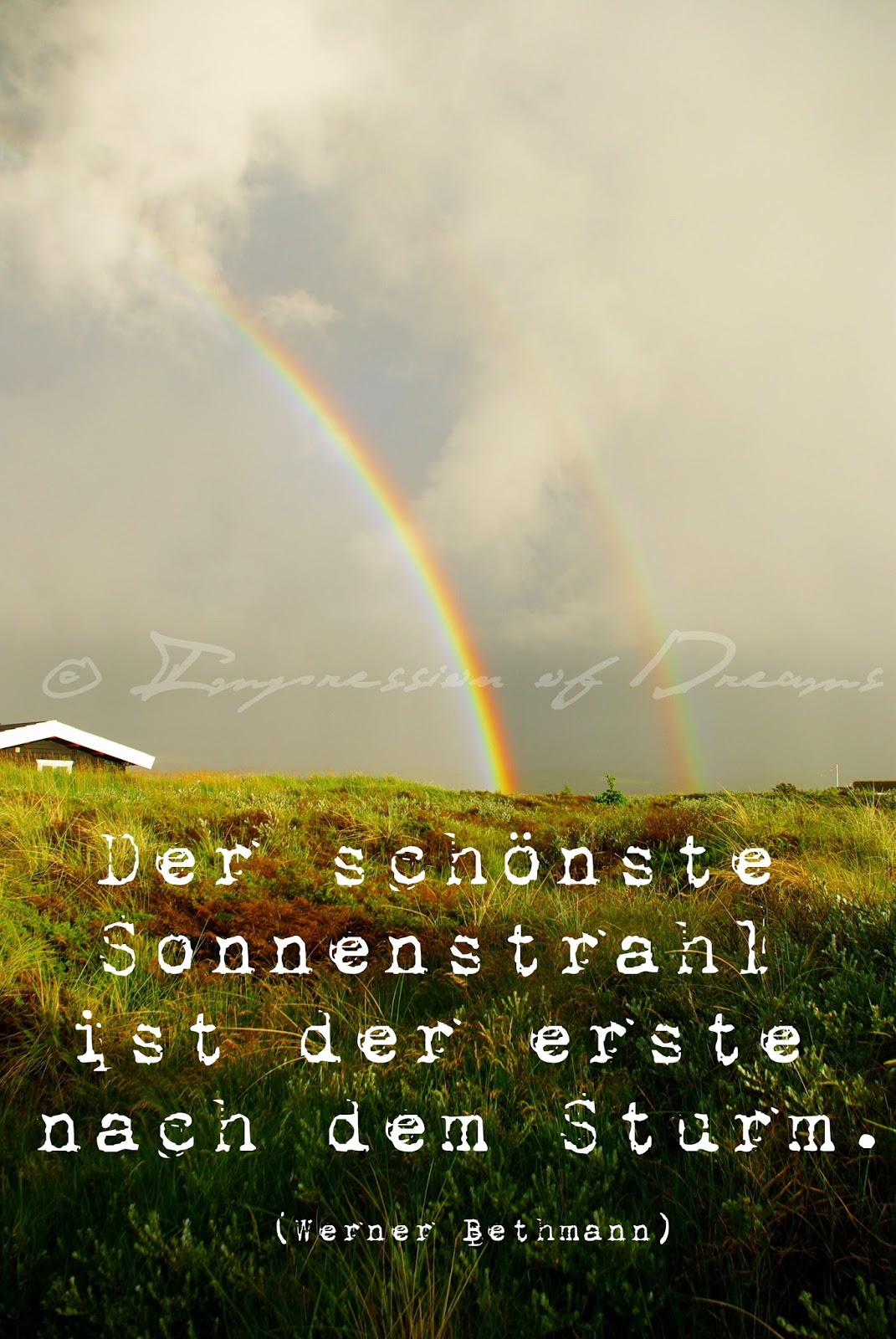 Lucciola Spruch des Tages 15.05.15
