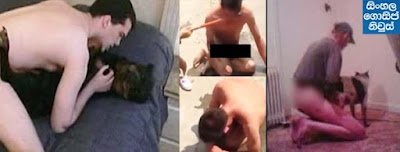 Man beaten , detained for alleged dog raping Man beaten , detained for alleged dog raping