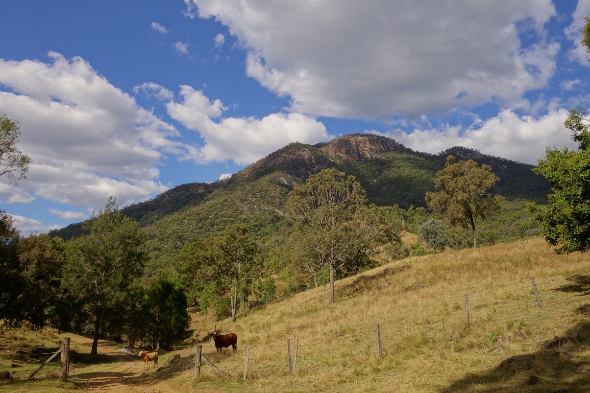Conqueror of the Mountains of Australia in General and South East ...