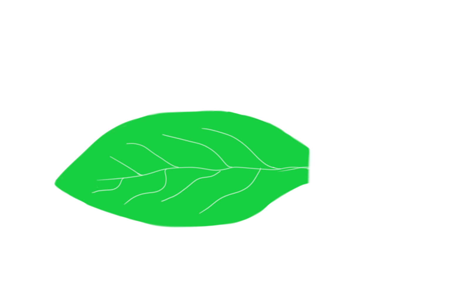  Daun  png  Leaf png 
