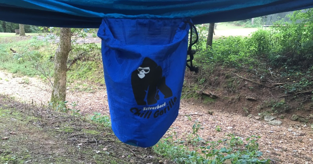 The Common Sense Professor Introducing a Best Value Hammock and Strap