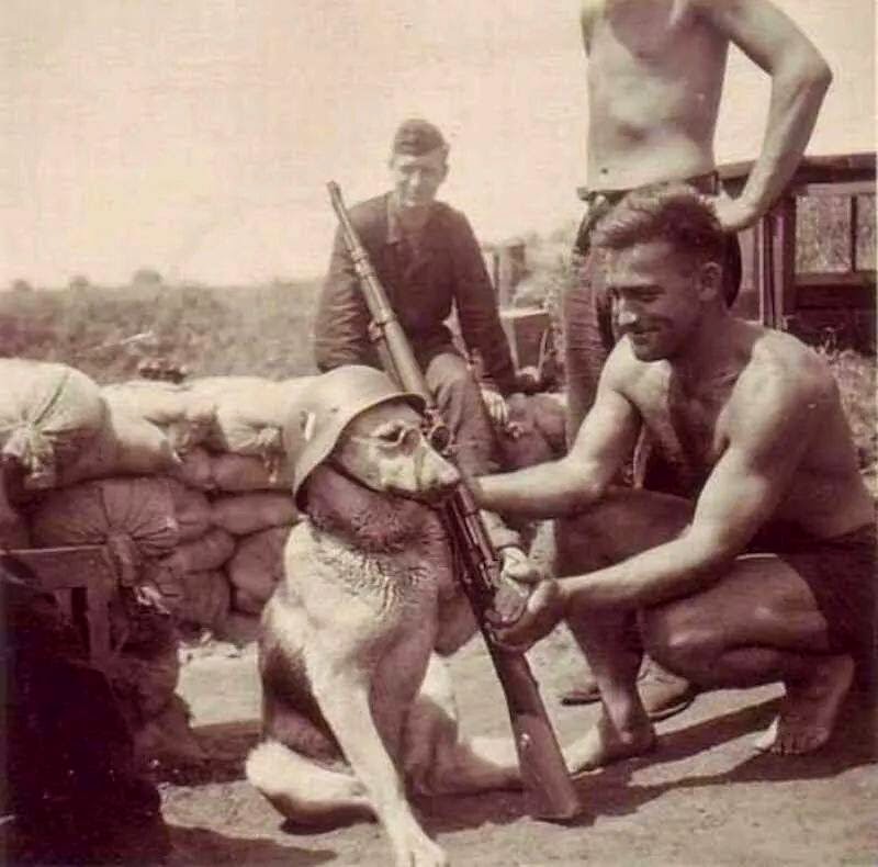 A German soldier poses with his dog