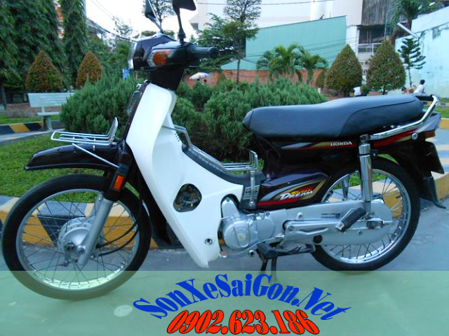 Một số mẫu sơn xe Honda Dream đẹp