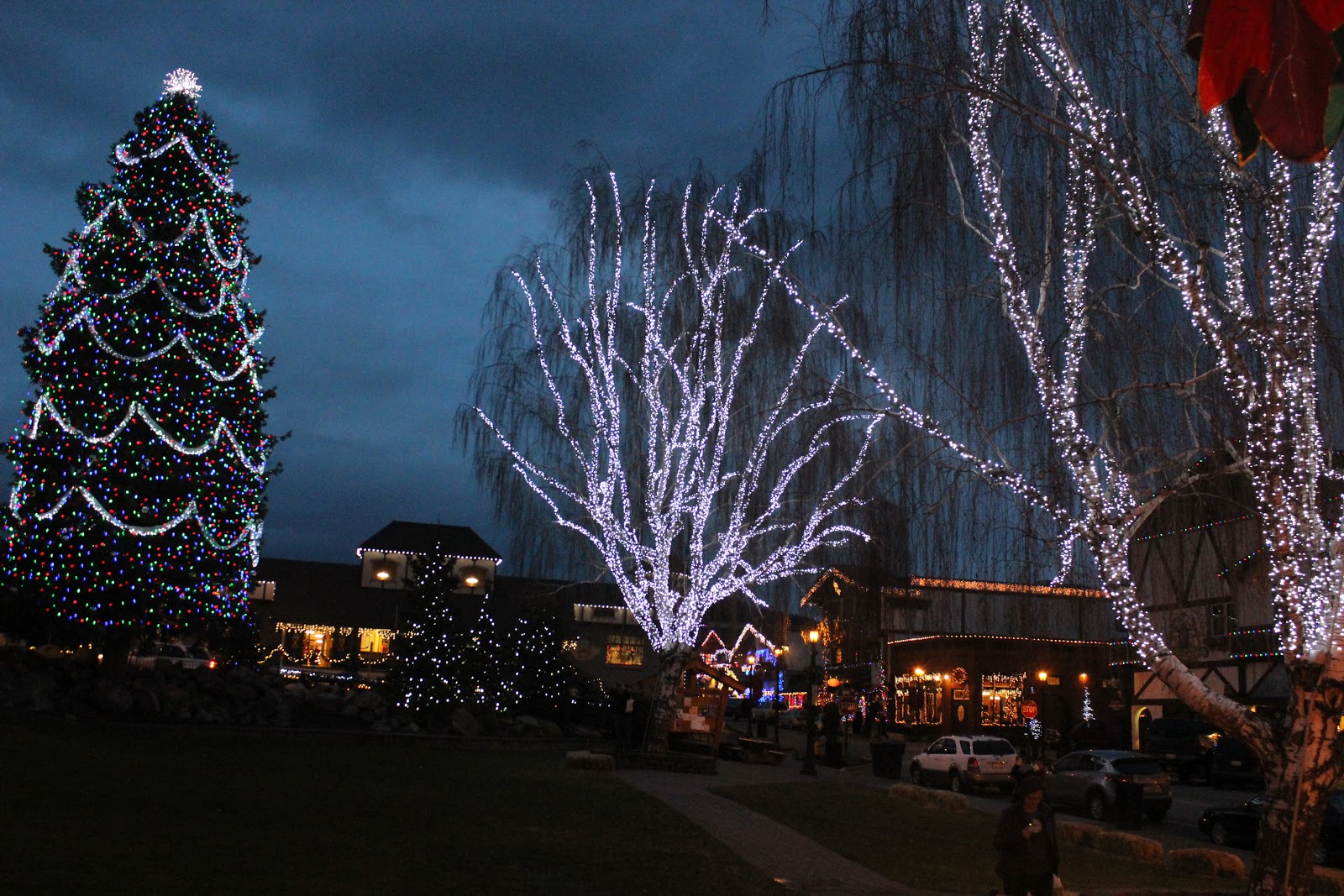 Shipwrecked!: Christmas Town (aka Leavenworth, WA)