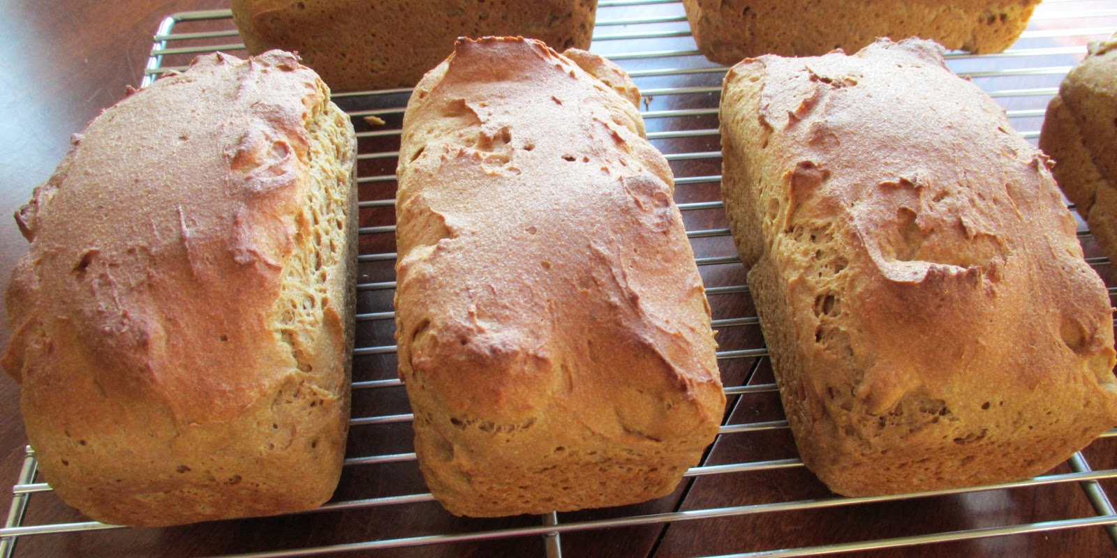 Successfully Gluten Free! GlutenFree Honey Whole Wheat Bread