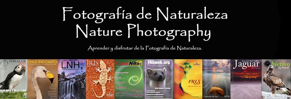 Fotografía de Naturaleza     Nature Photography