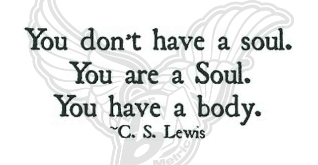 soul in a body