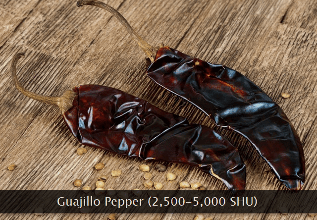 Guajillo chili pepper
