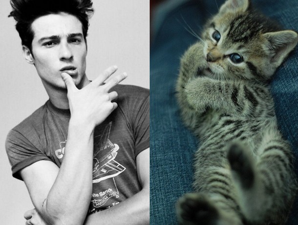 celebs with cats