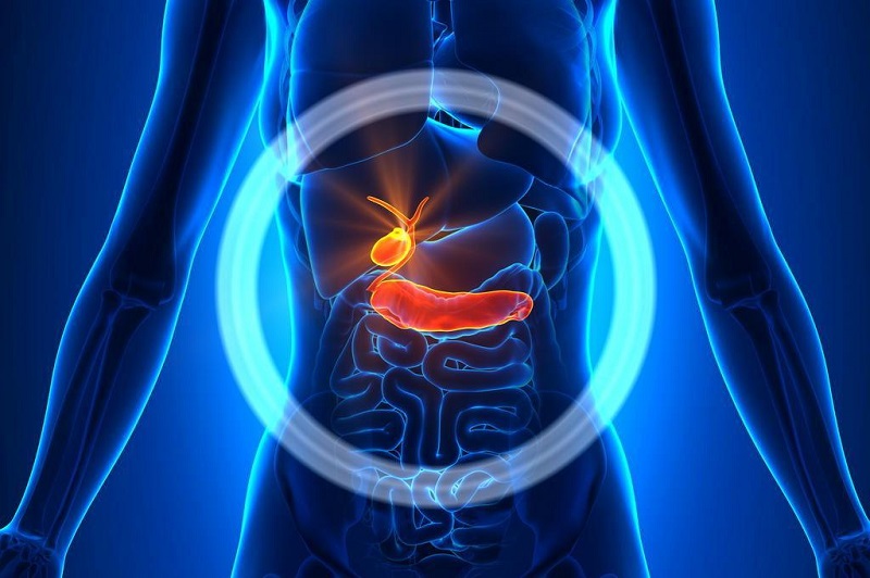 10 Alimentos Que Irritam a Vesícula Biliar