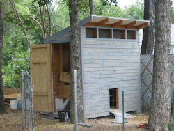 coop chicken building finished texas door dallas backyard parents