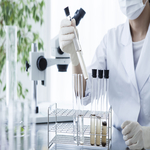 synthetic drugs synthetic drugs