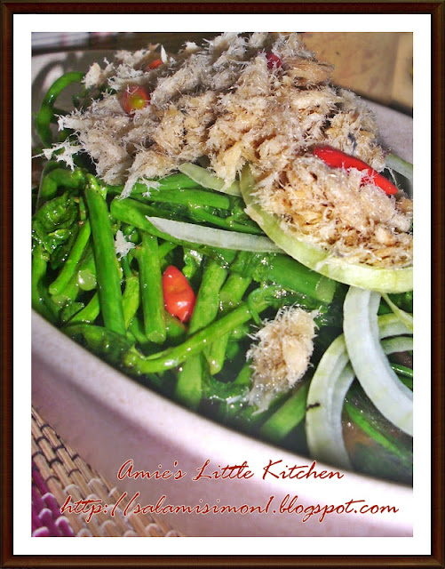 Ubat Sakit Mata Untuk Kucing  Contoh Tempo