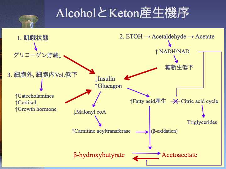 Hospitalist なんでも無い科医の勉強ノート アルコール性ケトアシドーシス (AKA) Hospitalist なんでも無い科医の勉強ノート アルコール性ケトアシドーシス (AKA)