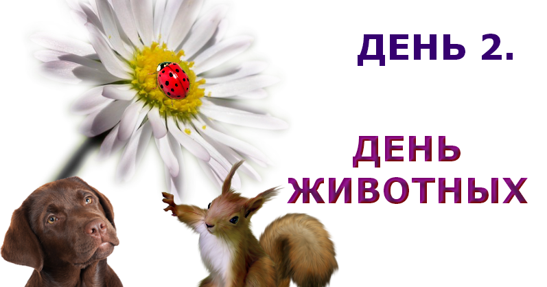 День зверя День зверя