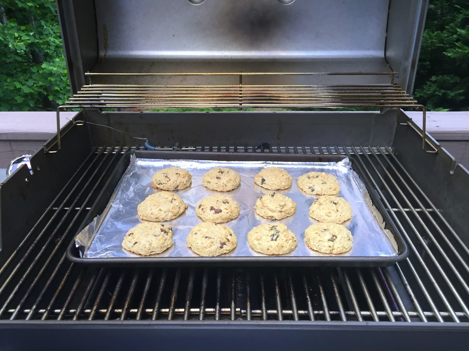 May December Madness How to Bake Cookies on a Grill